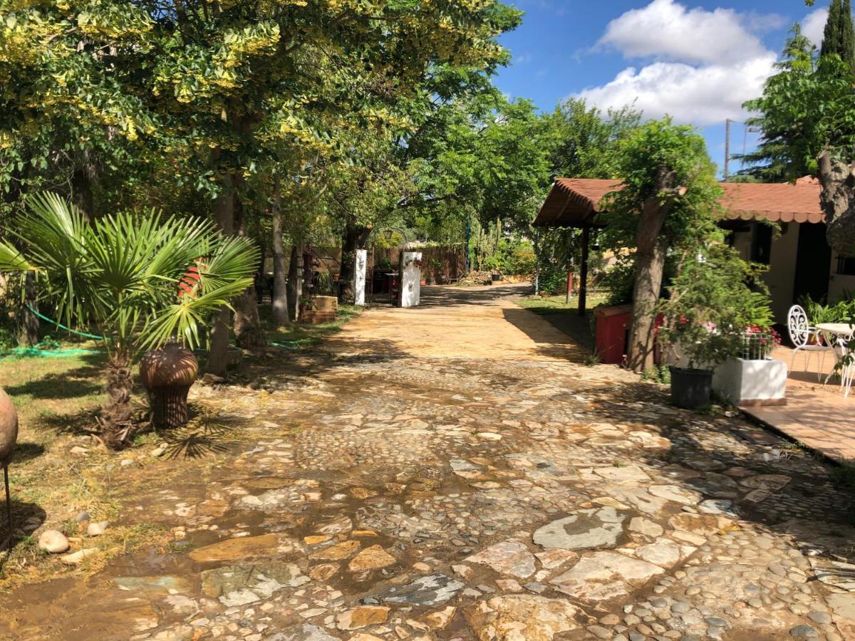 Vivienda Turistica La Huerta Villa Guadalcanal Bagian luar foto