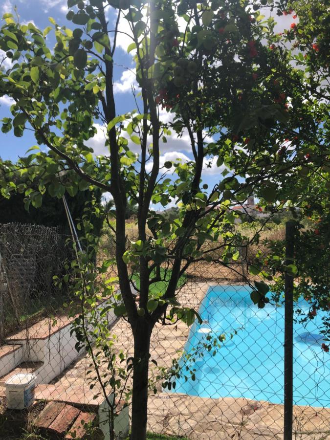 Vivienda Turistica La Huerta Villa Guadalcanal Bagian luar foto