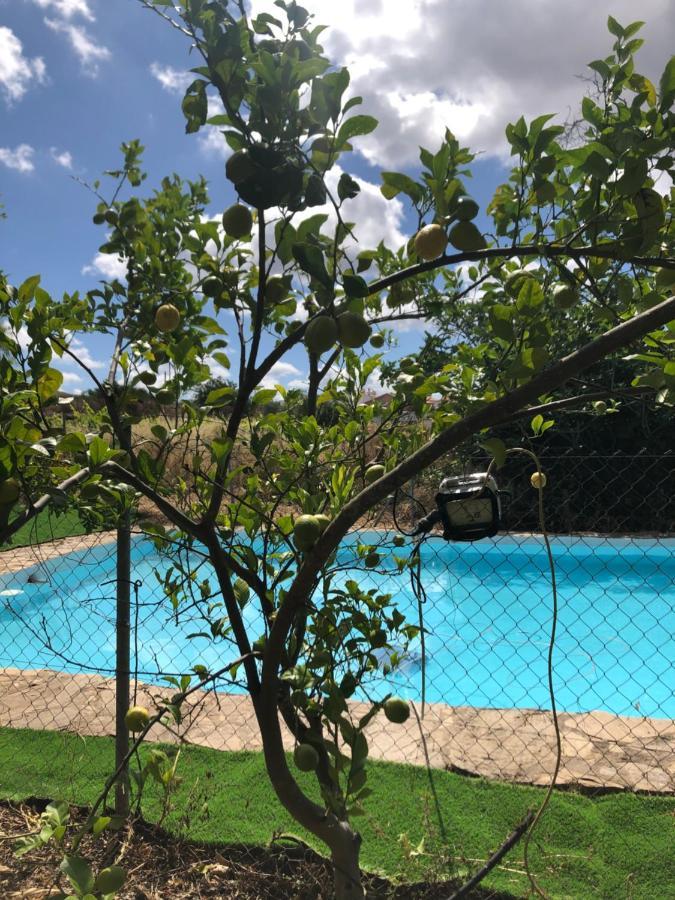 Vivienda Turistica La Huerta Villa Guadalcanal Bagian luar foto