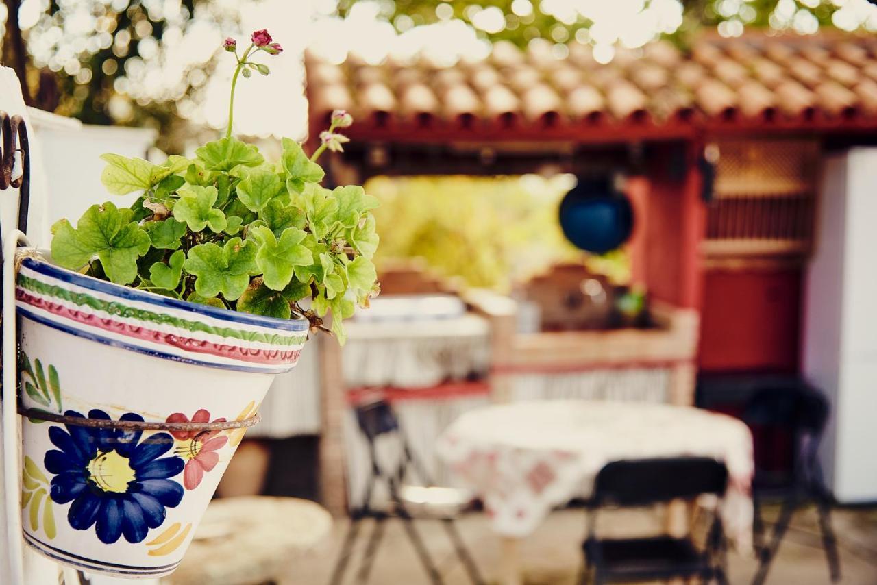 Vivienda Turistica La Huerta Villa Guadalcanal Bagian luar foto